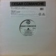 画像1: CESAR COMANCHE / UP AND DOWN (1)