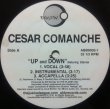 画像2: CESAR COMANCHE / UP AND DOWN (2)