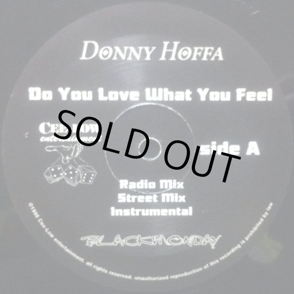 画像1: DONNY HOFFA / DO YOU LOVE WHAT YOU FEEL (1)