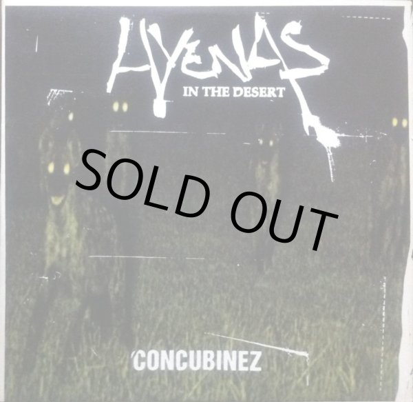 画像1: HYENAS IN THE DESERT / CONCUBINEZ (1)