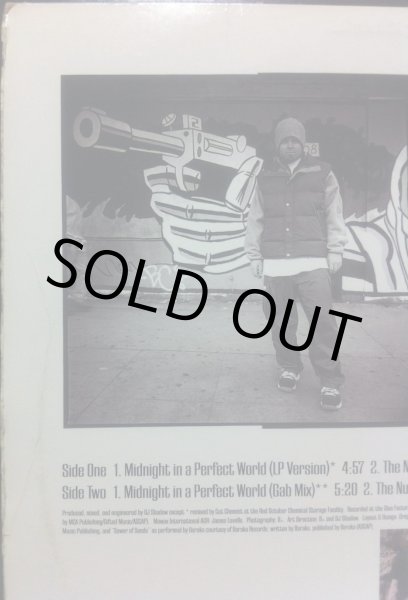 画像2: DJ SHADOW / MIDNIGHT IN A PERFECT WORLD (2)