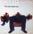 画像1: ANTIPOP CONSORTIUM / GHOSTLAWNS (1)