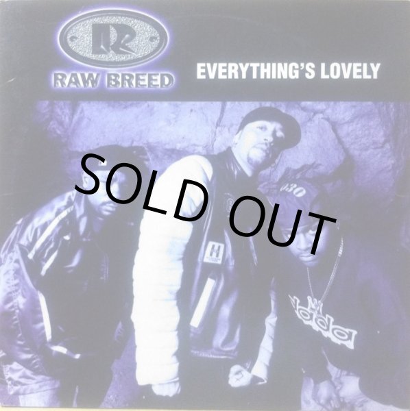 画像1: RAW BREED / EVERYTHING'S LOVELY (1)