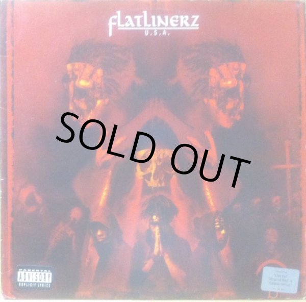 画像1: FLATLINERZ / U.S.A. (1)