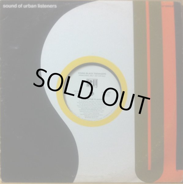 画像1: YOUNG BLACK TEENAGERS / ROLL W-THE FLAVOR (REMIX) (1)