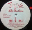 画像2: J-LIVE / LIKE THIS ANNA (2)