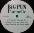 画像2: BIG PUN / PUN-NEFIC (2)