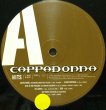 画像2: CAPPADONNA / HITS (2)