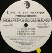 画像2: CAPPADONNA / LOVE IS THE MESSAGE (2)