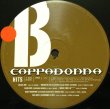 画像3: CAPPADONNA / HITS (3)