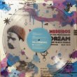 画像2: MR. J. MEDEIROS / HALF A DREAM (2)