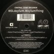 画像1: MSI & ASYLUM / MSYLUM THING (1)