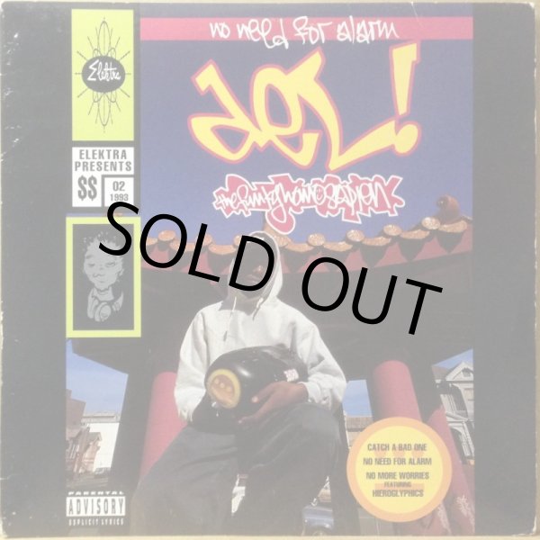 画像1: DEL THE FUNKY HOMOSAPIEN / NO NEED FOR ALARM (1)