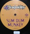 画像2: FU-SCHNICKENS / SUM DUM MUNKEY (2)