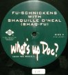 画像2: FU-SCHNICKENS with SHAQUILLE O'NEAL (SHAQ-FU) / WHAT'S UP DOC? (CAN WE ROCK?) (2)
