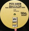 画像3: PETE ROCK / NOTHIN' LESSER (3)