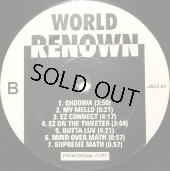 画像2: WORLD RENOWN / WORLD RENOWN LP (2)