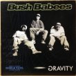 画像1: DA BUSH BABEES / GRAVITY -UNOFFICIAL DOUBLE VINYL- (1)