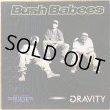 DA BUSH BABEES / GRAVITY -UNOFFICIAL DOUBLE VINYL-