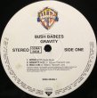 画像2: DA BUSH BABEES / GRAVITY -UNOFFICIAL DOUBLE VINYL- (2)