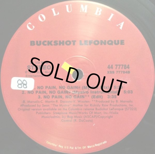画像3: BUCKSHOT LEFONQUE / NO PAIN, NO GAIN (3)