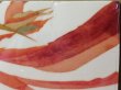 画像2: NUJABES / THANK YOU (2)