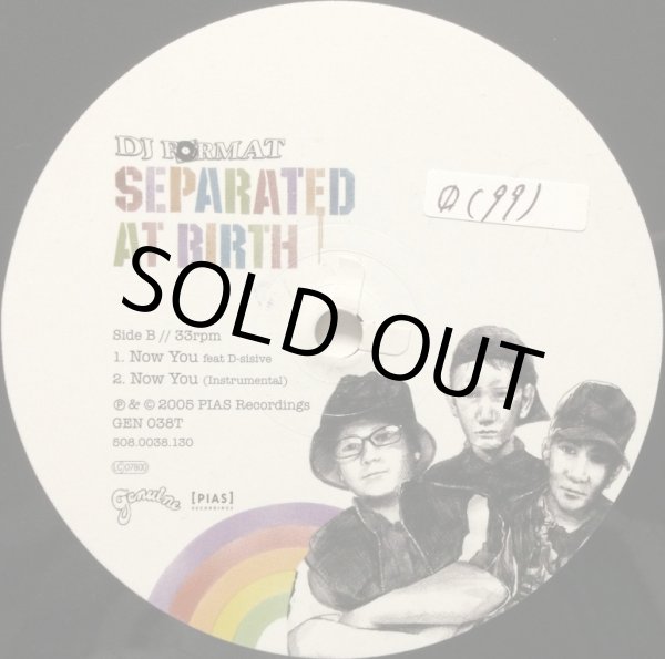 画像3: DJ FORMAT / SEPARATED AT BIRTH (3)