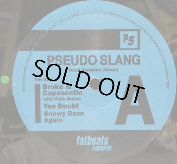 画像2: PSEUDO SLANG / BROKE & COPASETIC (2)