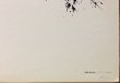画像2: HAIIRO DE ROSSI / BLUE BERRY OR APRICOT (2)