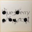 画像1: HAIIRO DE ROSSI / BLUE BERRY OR APRICOT (1)
