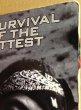 画像2: MOBB DEEP / SURVIVAL OF THE FITTEST (2)