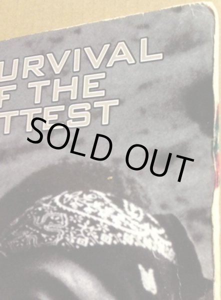 画像2: MOBB DEEP / SURVIVAL OF THE FITTEST (2)