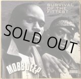 MOBB DEEP / THE INFAMOUS