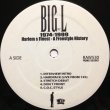 画像1: BIG L / HARLEM'S FINEST -A FREESTYLE HISTORY- (1)