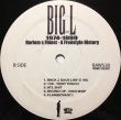 画像2: BIG L / HARLEM'S FINEST -A FREESTYLE HISTORY- (2)