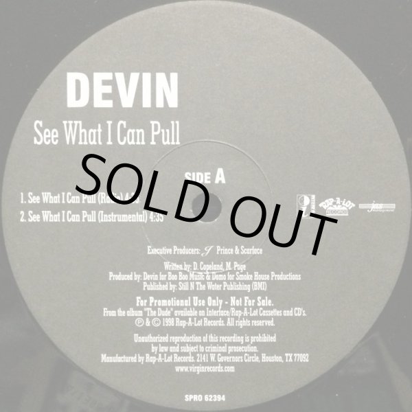 画像1: DEVIN / SEE WHAT I CAN PULL (RE) (1)
