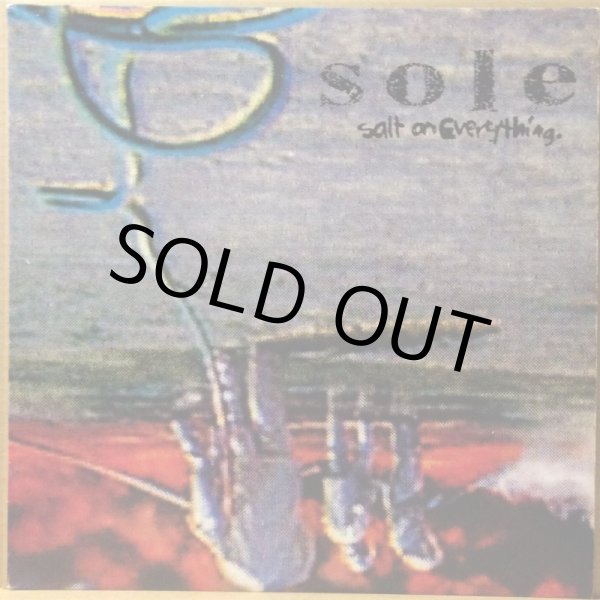 画像1: SOLE / SALT ON EVERYTHING (1)