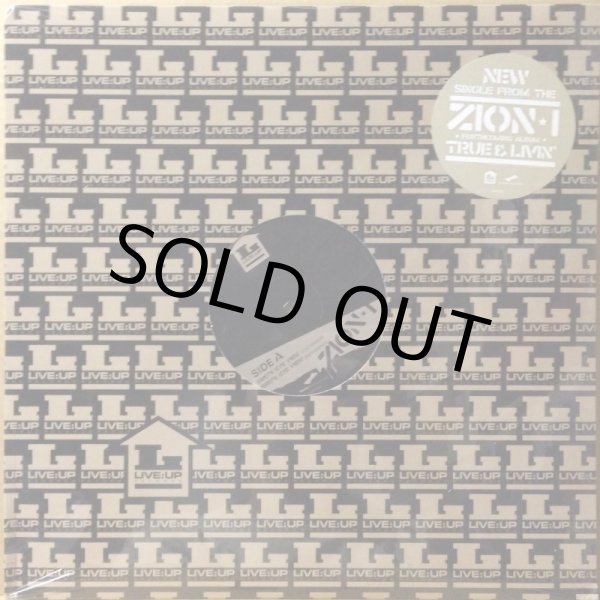 画像1: ZION I / BIRD'S EYE VIEW (SEALED) (1)