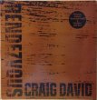 画像1: CRAIG DAVID / RENDEZVOUS (1)