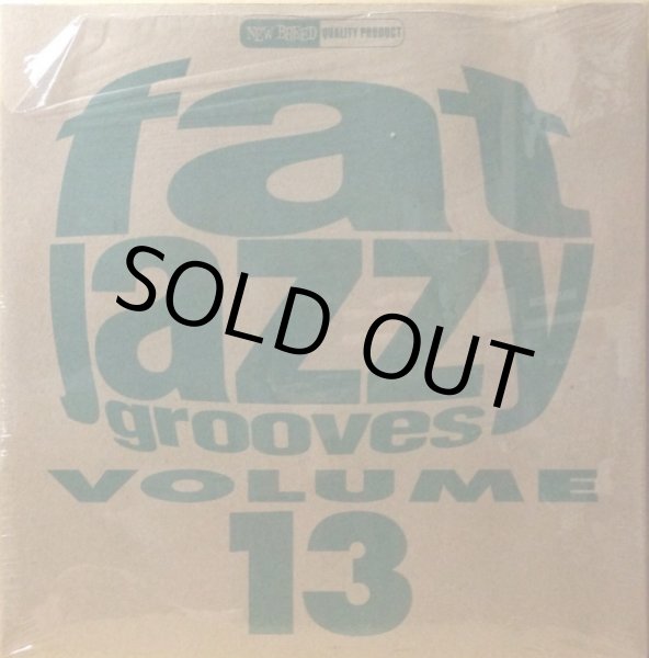 画像1: V.A. / FAT JAZZY GROOVES VOLUME 13 (1)