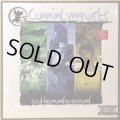 CUNNINLYNGUISTS / SOUTHERNUNDERGROUND