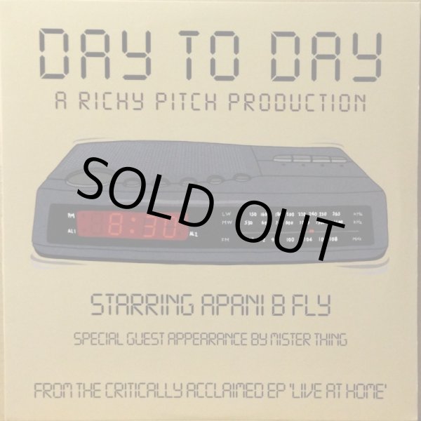画像1: RICHY PITCH / DAY TO DAY (1)