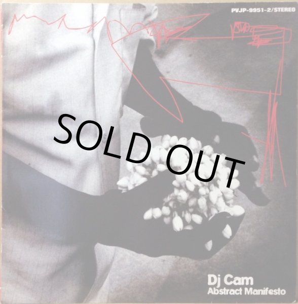 画像1: DJ CAM / ABSTRACT MANIFEST (1)