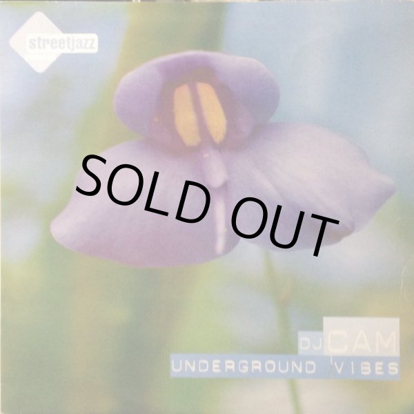 画像1: DJ CAM / UNDERGROUND VIBES (RE) (1)