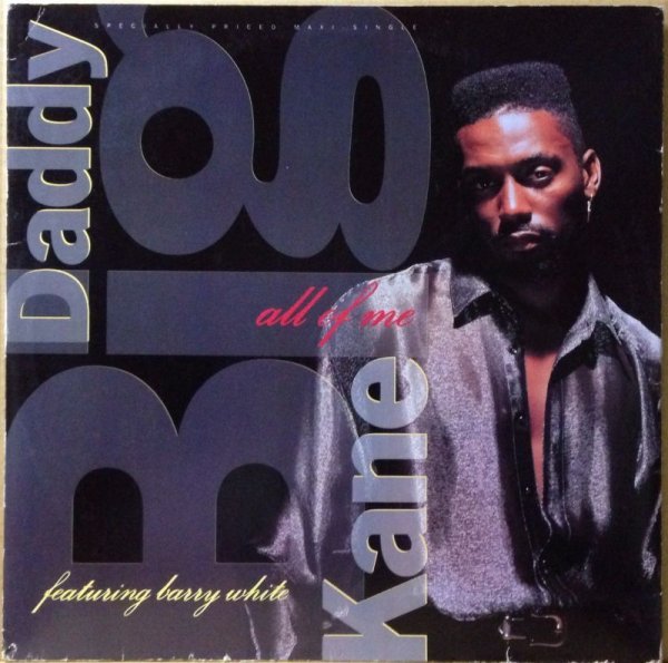 画像1: BIG DADDY KANE / ALL OF ME (1)