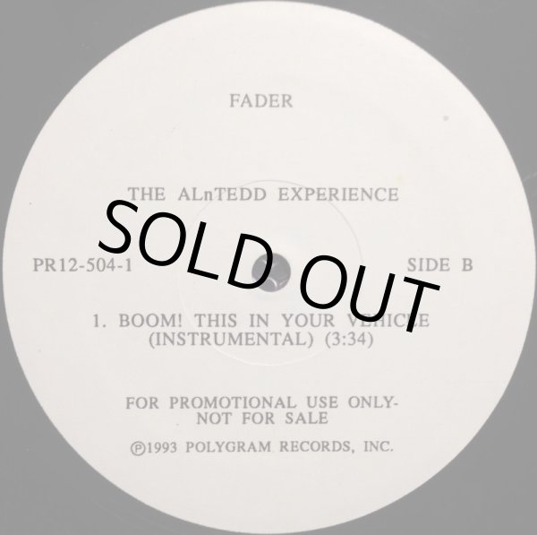 画像2: ALNTEED EXPERIENCE, THE / BOOM! THIS IN YOUR VEHICLE (2)