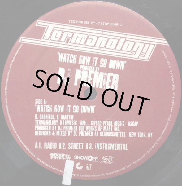 画像2: TERMANOLOGY / WATCH HOW IT GO DOWN (2)