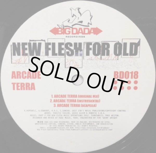 画像2: NEW FLESH OR OLD / ARCADE TERRA (2)