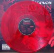 画像2: CHEF RAEKWON / SHAOLIN VS WU-TANG (2)