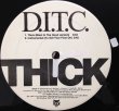 画像3: D.I.T.C. / THICK (3)